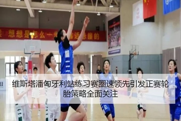 维斯塔潘匈牙利站练习赛圈速领先引发正赛轮胎策略全面关注
