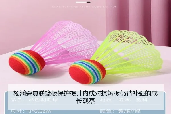 杨瀚森夏联篮板保护提升内线对抗短板仍待补强的成长观察